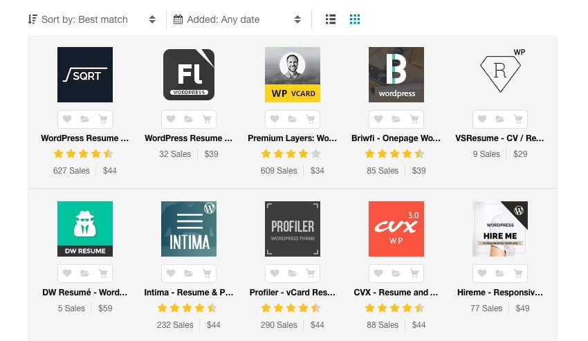 Best Personal Resume WordPress Theme